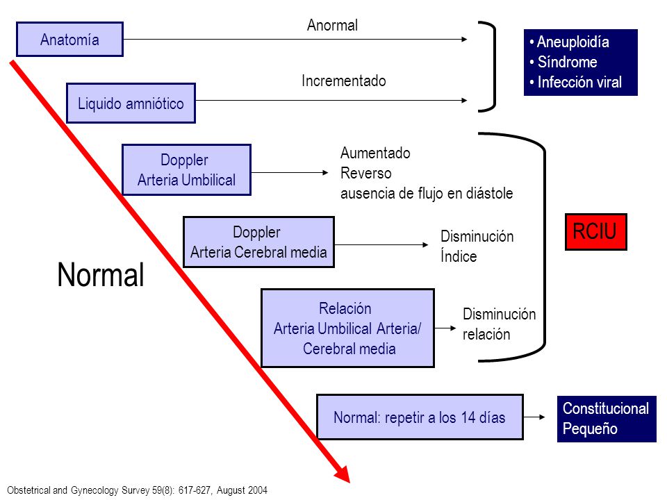 Normal RCIU Anormal Anatomía Aneuploidía Síndrome Infección viral