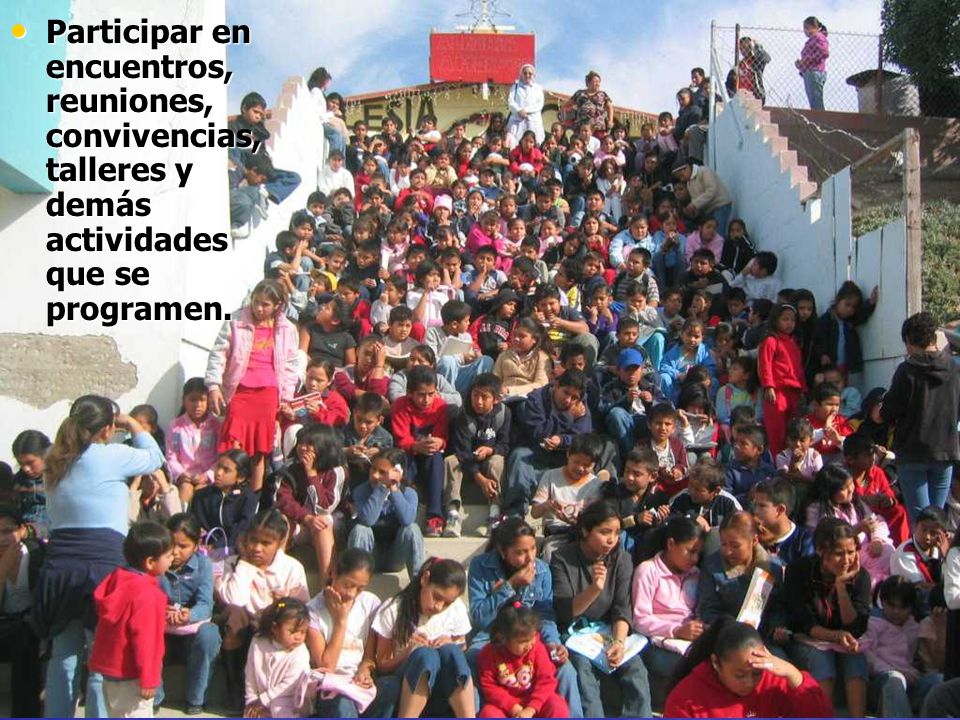 Participar en encuentros, reuniones, convivencias, talleres y demás actividades que se programen.