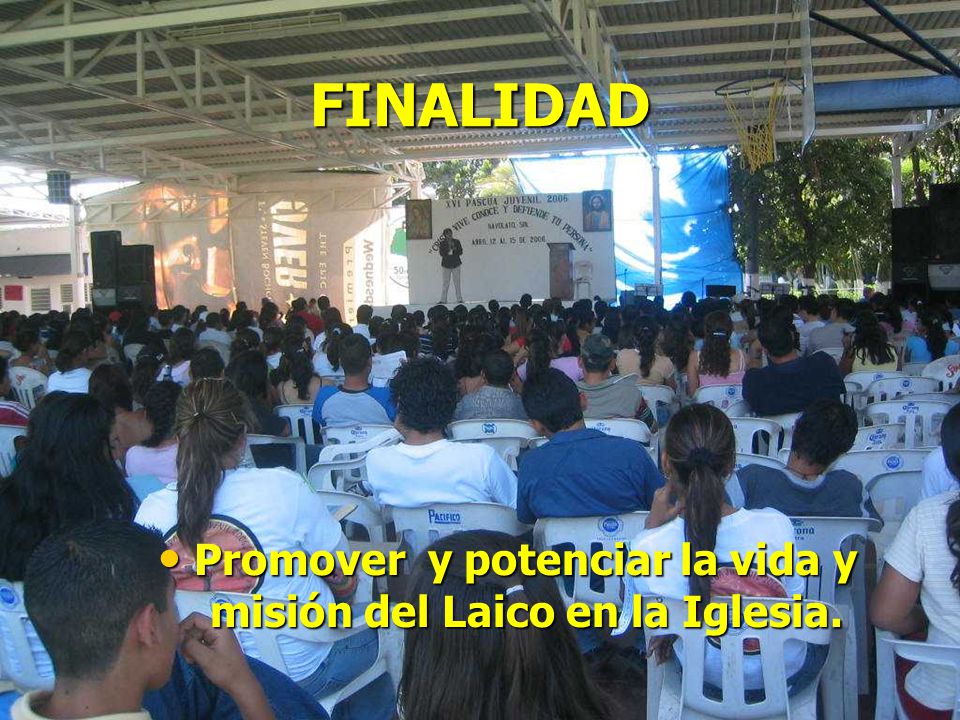 Promover y potenciar la vida y misión del Laico en la Iglesia.