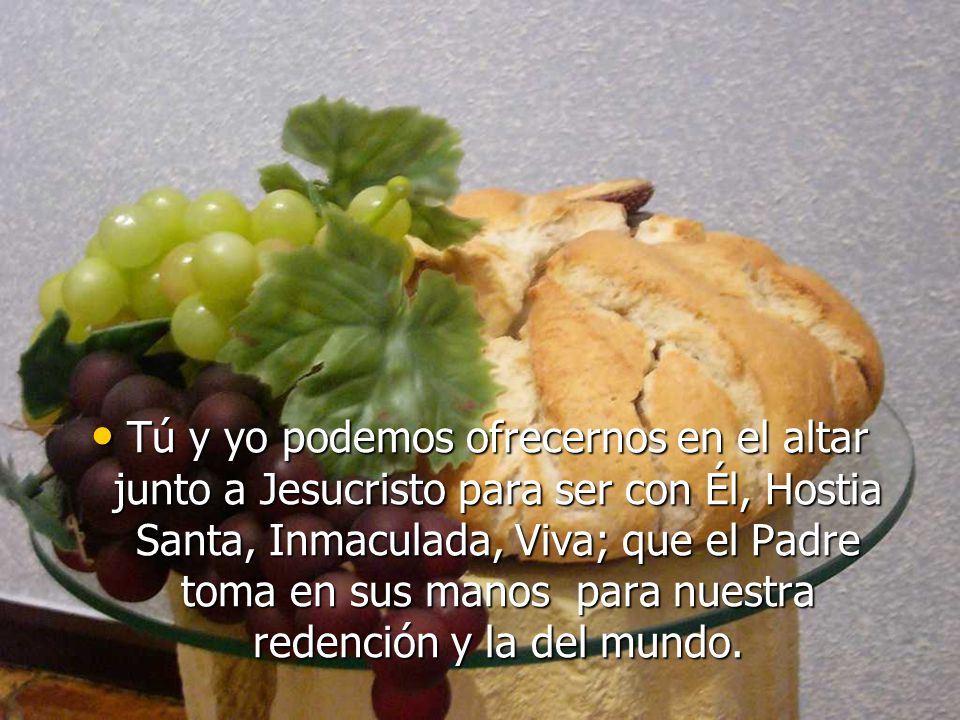 Tú y yo podemos ofrecernos en el altar junto a Jesucristo para ser con Él, Hostia Santa, Inmaculada, Viva; que el Padre toma en sus manos para nuestra redención y la del mundo.