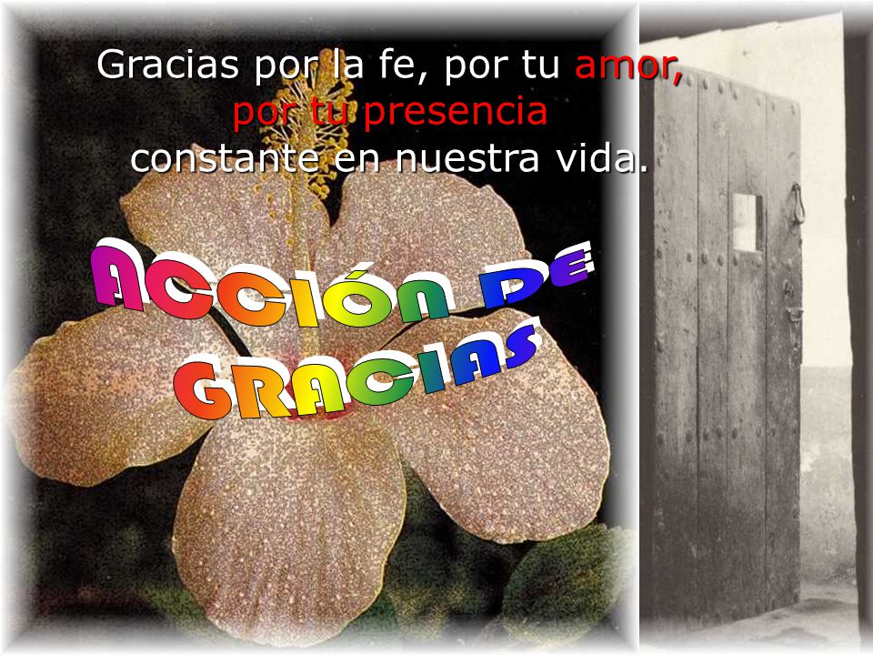 ACCIÓN DE GRACIAS Gracias por la fe, por tu amor, por tu presencia