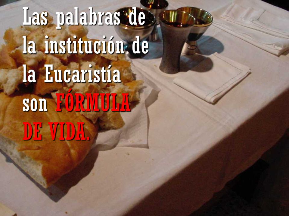 Las palabras de la institución de la Eucaristía son FÓRMULA DE VIDA.