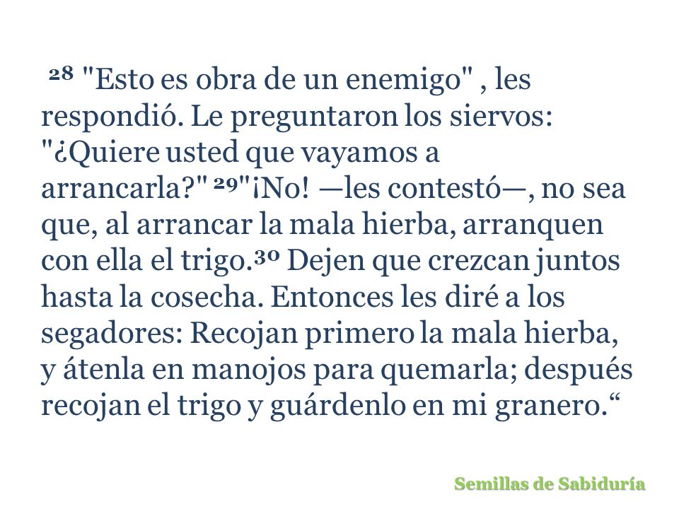 28 Esto es obra de un enemigo , les respondió