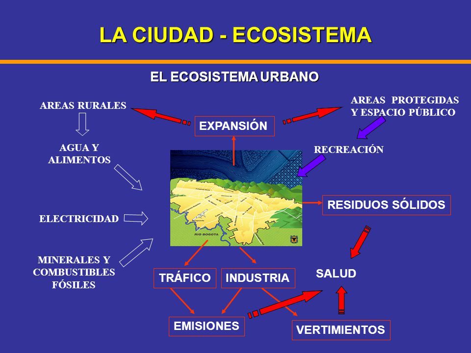 LA CIUDAD - ECOSISTEMA EL ECOSISTEMA URBANO EXPANSIÓN RESIDUOS SÓLIDOS