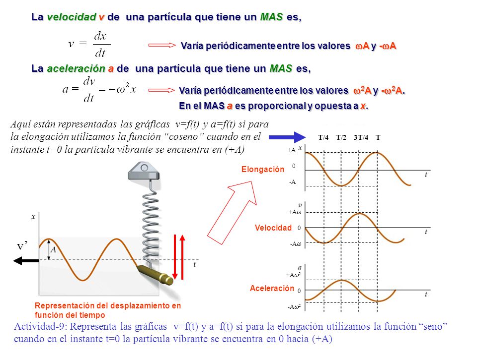 v’ La velocidad v de una partícula que tiene un MAS es,