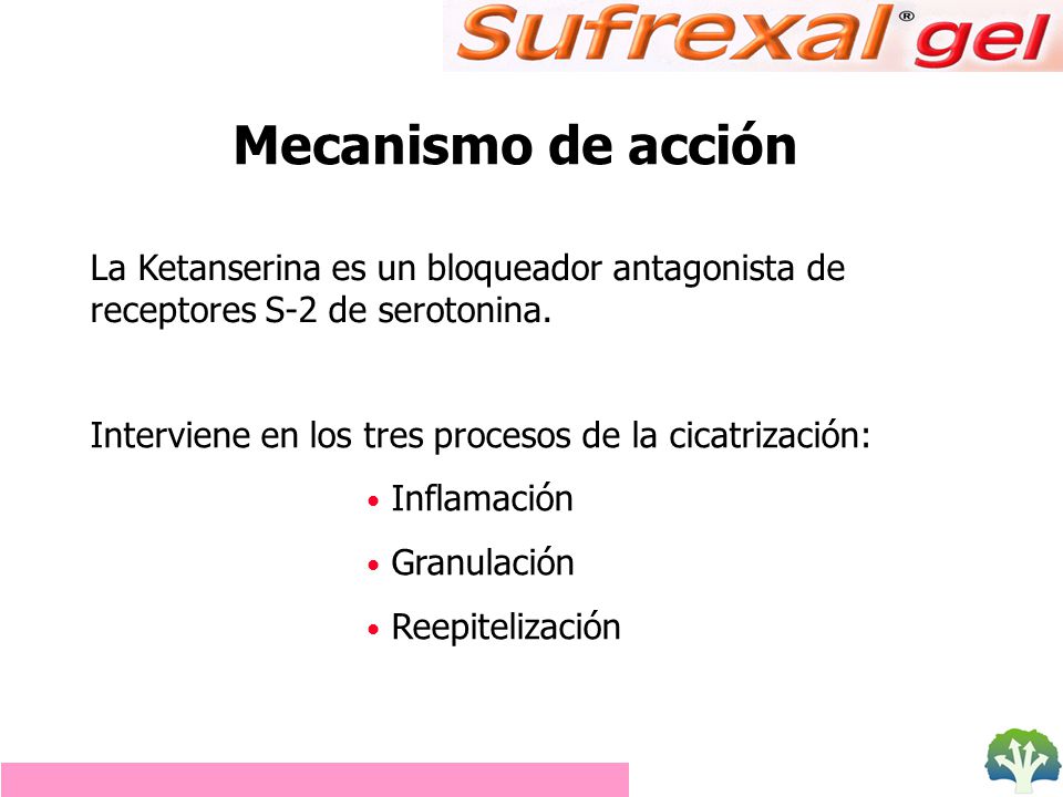 Mecanismo de acción La Ketanserina es un bloqueador antagonista de receptores S-2 de serotonina.