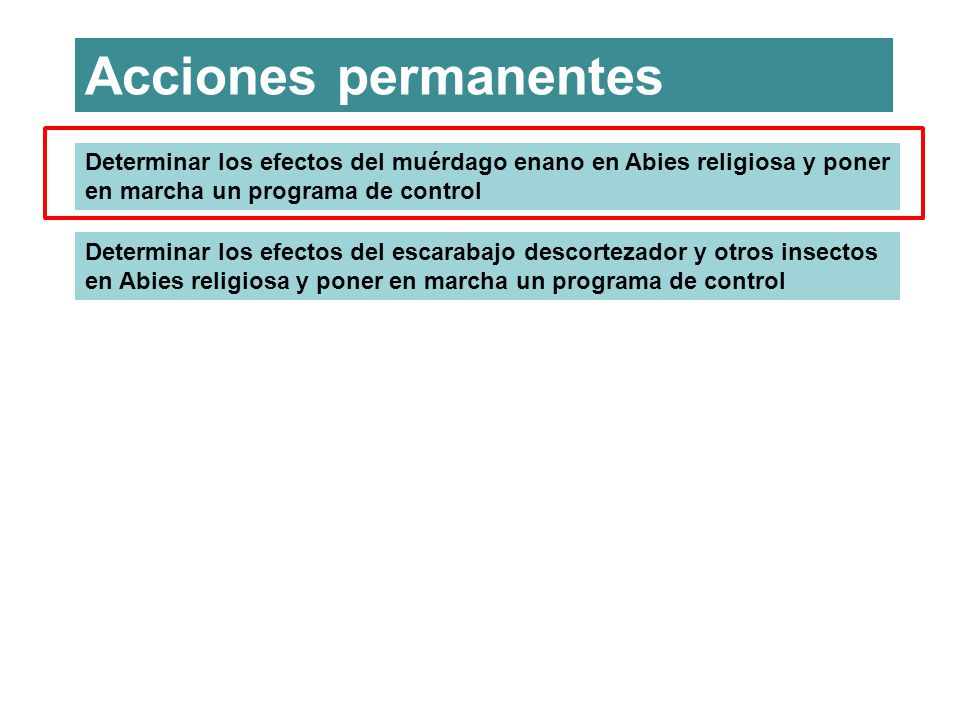 Acciones permanentes Determinar los efectos del muérdago enano en Abies religiosa y poner en marcha un programa de control.