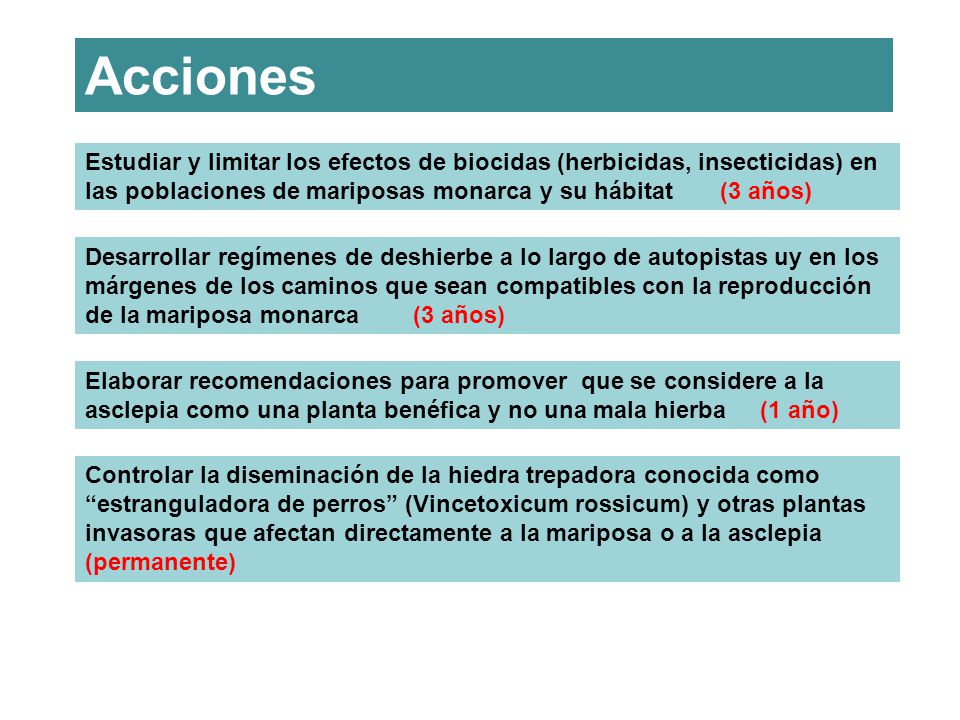 Acciones Estudiar y limitar los efectos de biocidas (herbicidas, insecticidas) en las poblaciones de mariposas monarca y su hábitat (3 años)