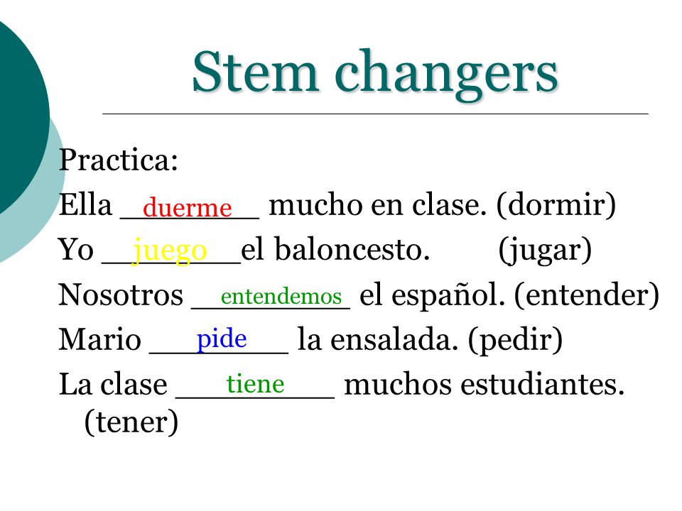 Stem changers Practica: Ella _______ mucho en clase. (dormir)