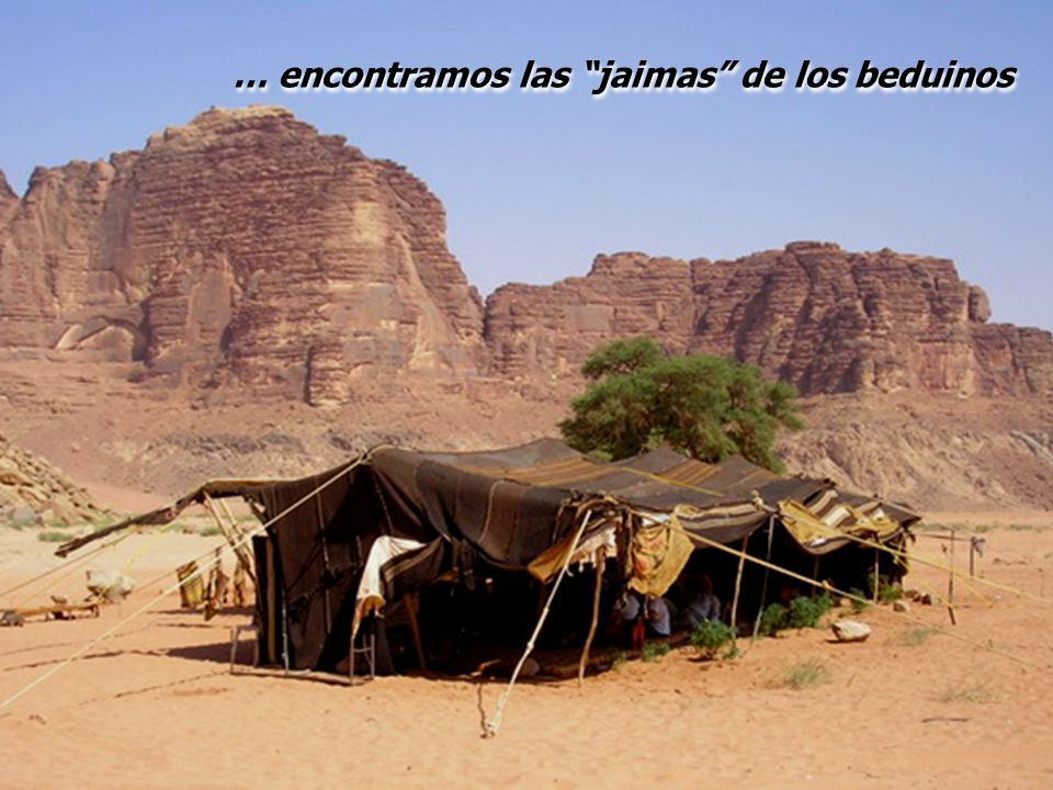 … encontramos las jaimas de los beduinos