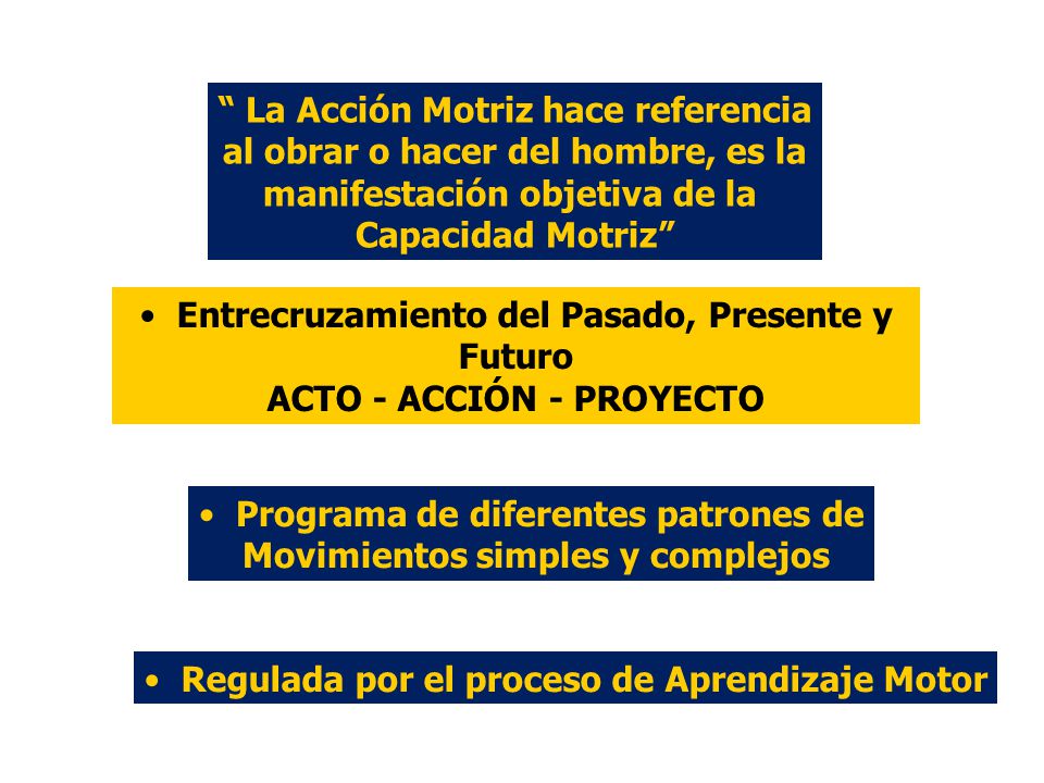 La Acción Motriz hace referencia al obrar o hacer del hombre, es la