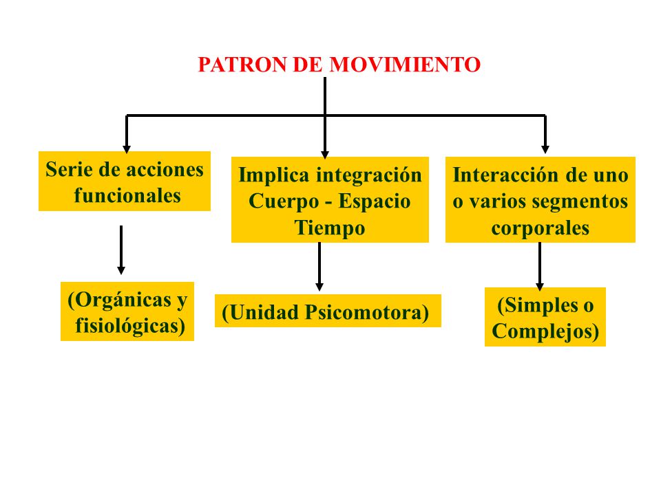 PATRON DE MOVIMIENTO Serie de acciones. funcionales. Implica integración. Cuerpo - Espacio. Tiempo.