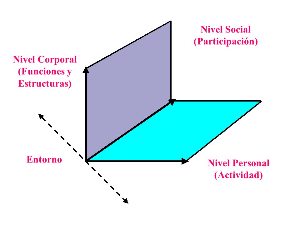 Nivel Social (Participación) Nivel Corporal. (Funciones y. Estructuras) Entorno. Nivel Personal.