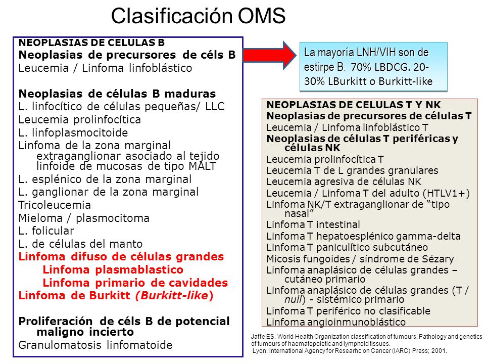 Clasificación OMS NEOPLASIAS DE CELULAS B. Neoplasias de precursores de céls B. Leucemia / Linfoma linfoblástico.