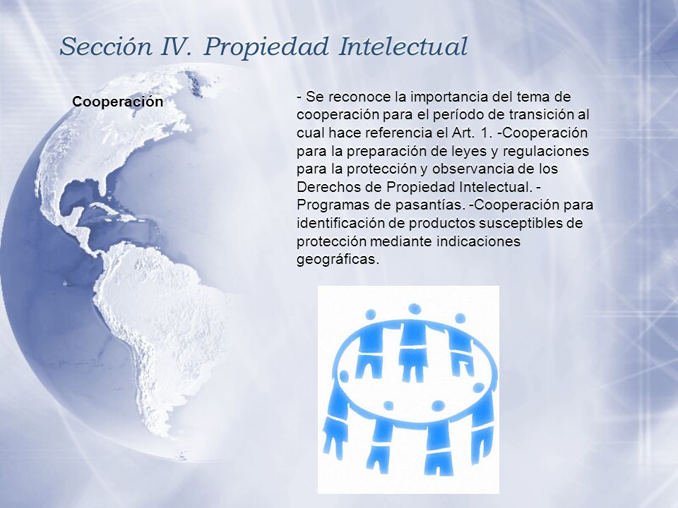Sección IV. Propiedad Intelectual
