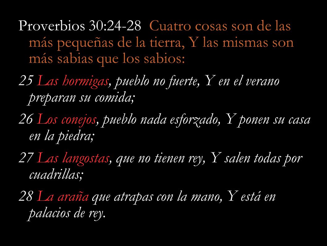 Proverbios 30:24-28 Cuatro cosas son de las más pequeñas de la tierra, Y las mismas son más sabias que los sabios:
