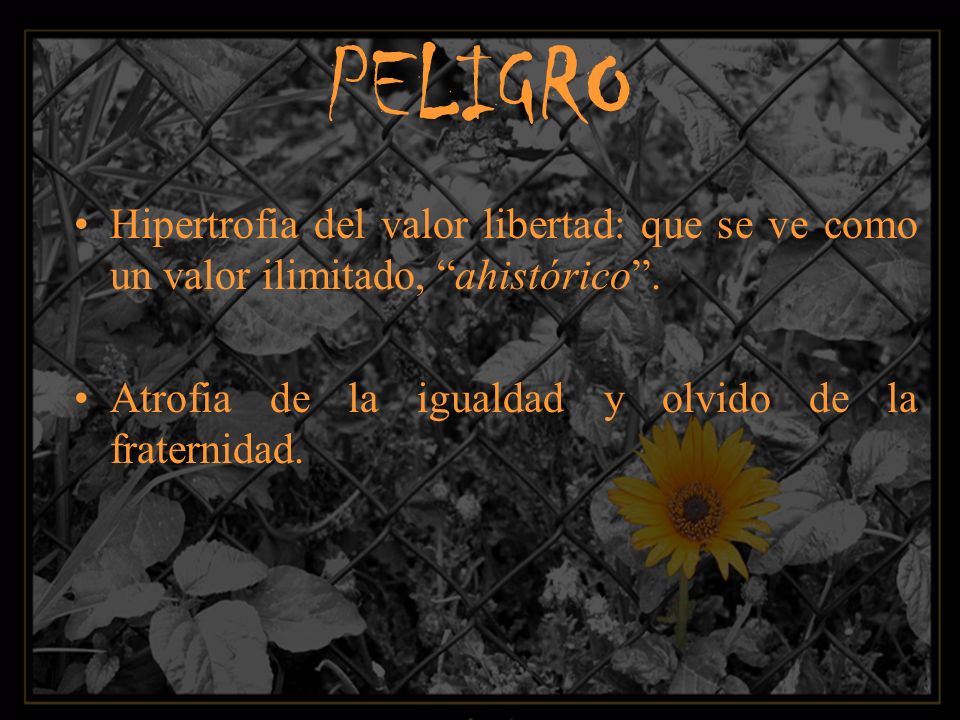 PELIGRO Hipertrofia del valor libertad: que se ve como un valor ilimitado, ahistórico .