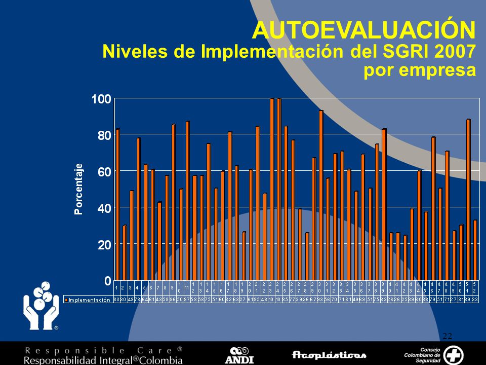 AUTOEVALUACIÓN Niveles de Implementación del SGRI 2007 por empresa