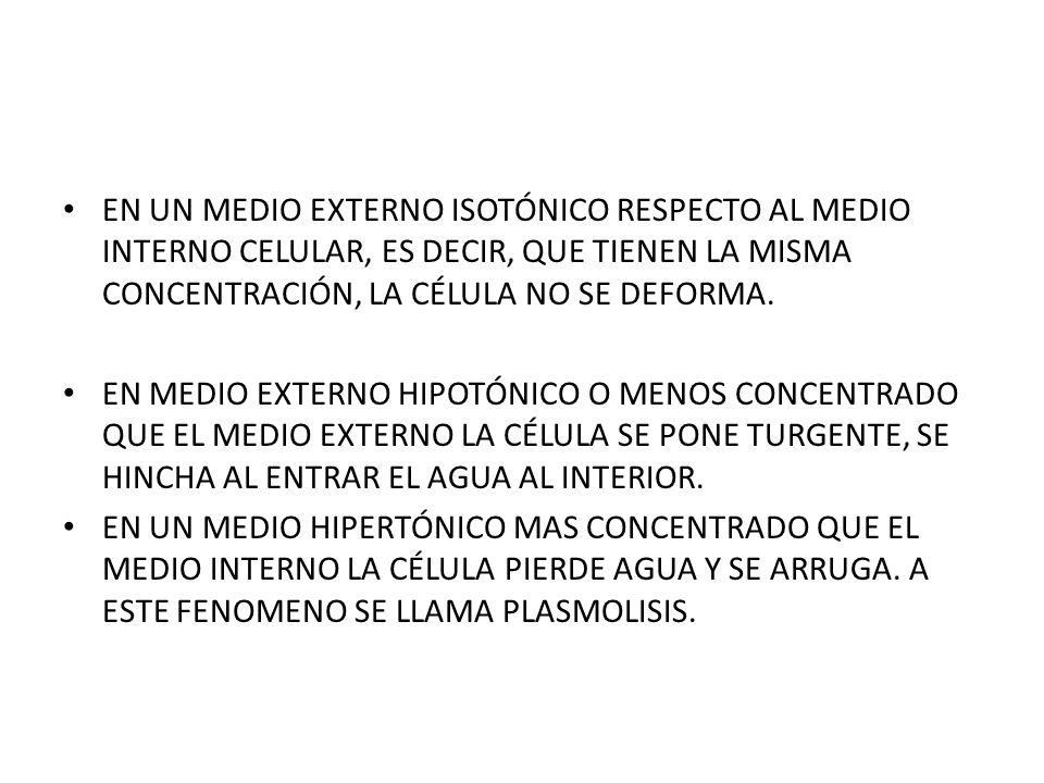 EN UN MEDIO EXTERNO ISOTÓNICO RESPECTO AL MEDIO INTERNO CELULAR, ES DECIR, QUE TIENEN LA MISMA CONCENTRACIÓN, LA CÉLULA NO SE DEFORMA.