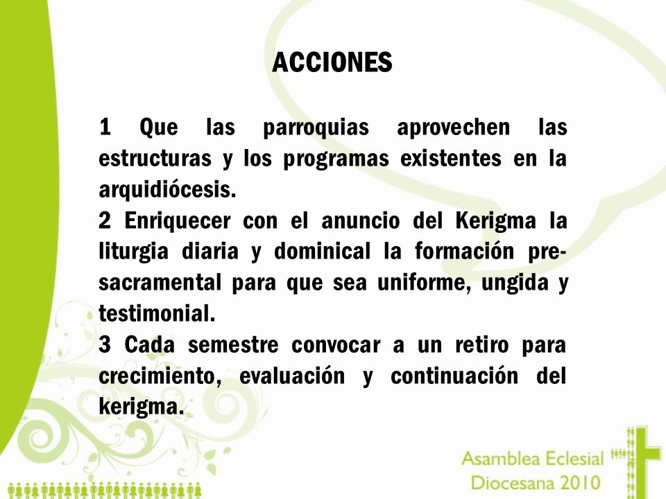 ACCIONES 1 Que las parroquias aprovechen las estructuras y los programas existentes en la arquidiócesis.