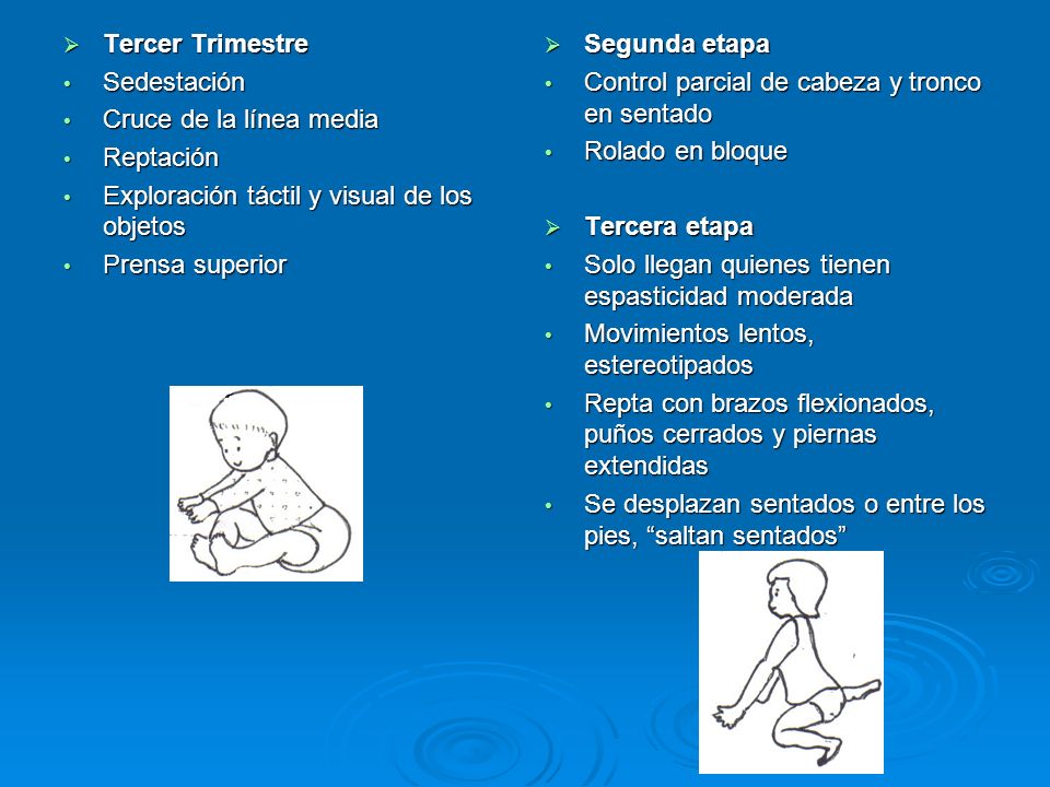 Tercer Trimestre Sedestación. Cruce de la línea media. Reptación. Exploración táctil y visual de los objetos.