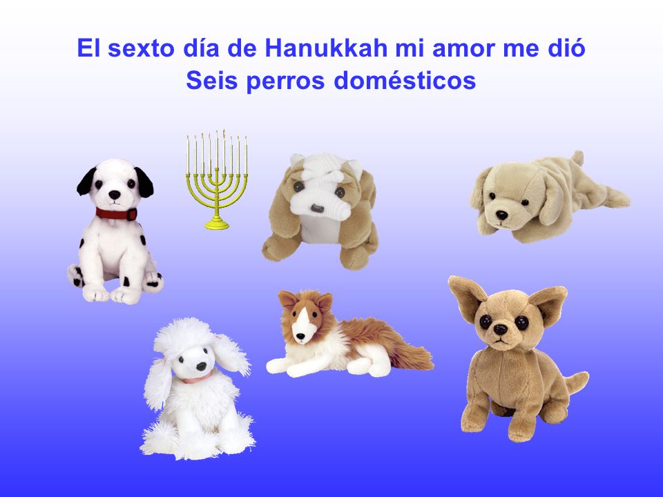 El sexto día de Hanukkah mi amor me dió Seis perros domésticos