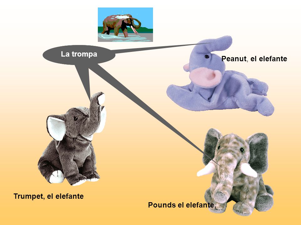 Los La trompa La trompa La trompa Peanut, el elefante