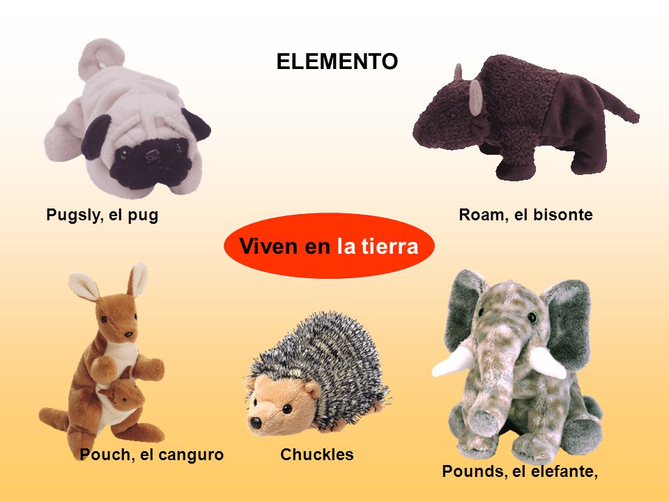 ELEMENTO Viven en la tierra Pugsly, el pug Roam, el bisonte