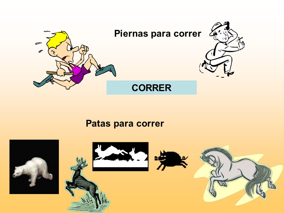 Piernas para correr CORRER Patas para correr