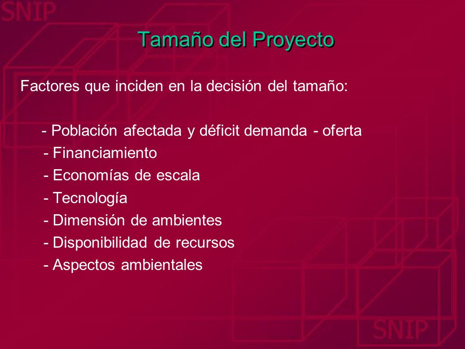 Tamaño del Proyecto Factores que inciden en la decisión del tamaño: