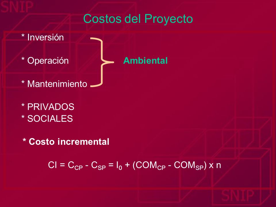Costos del Proyecto * Inversión * Operación Ambiental * Mantenimiento