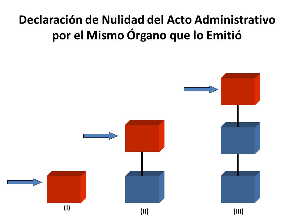 Declaración de Nulidad del Acto Administrativo por el Mismo Órgano que lo Emitió