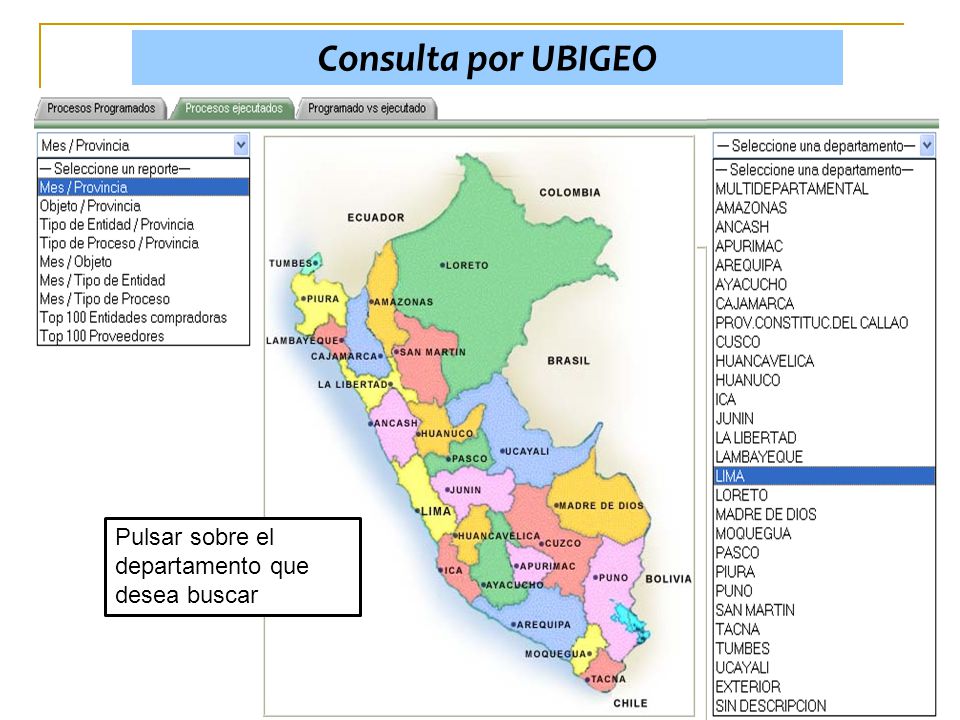 Consulta por UBIGEO Pulsar sobre el departamento que desea buscar