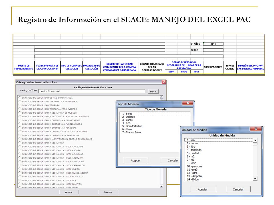 Registro de Información en el SEACE: MANEJO DEL EXCEL PAC