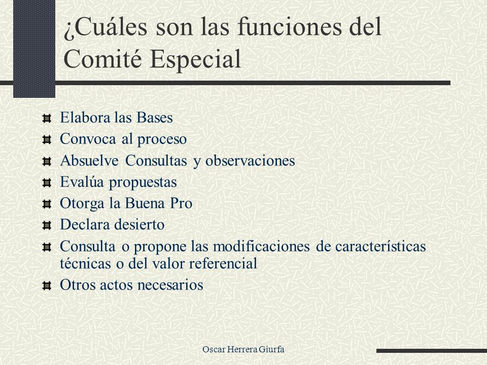 ¿Cuáles son las funciones del Comité Especial
