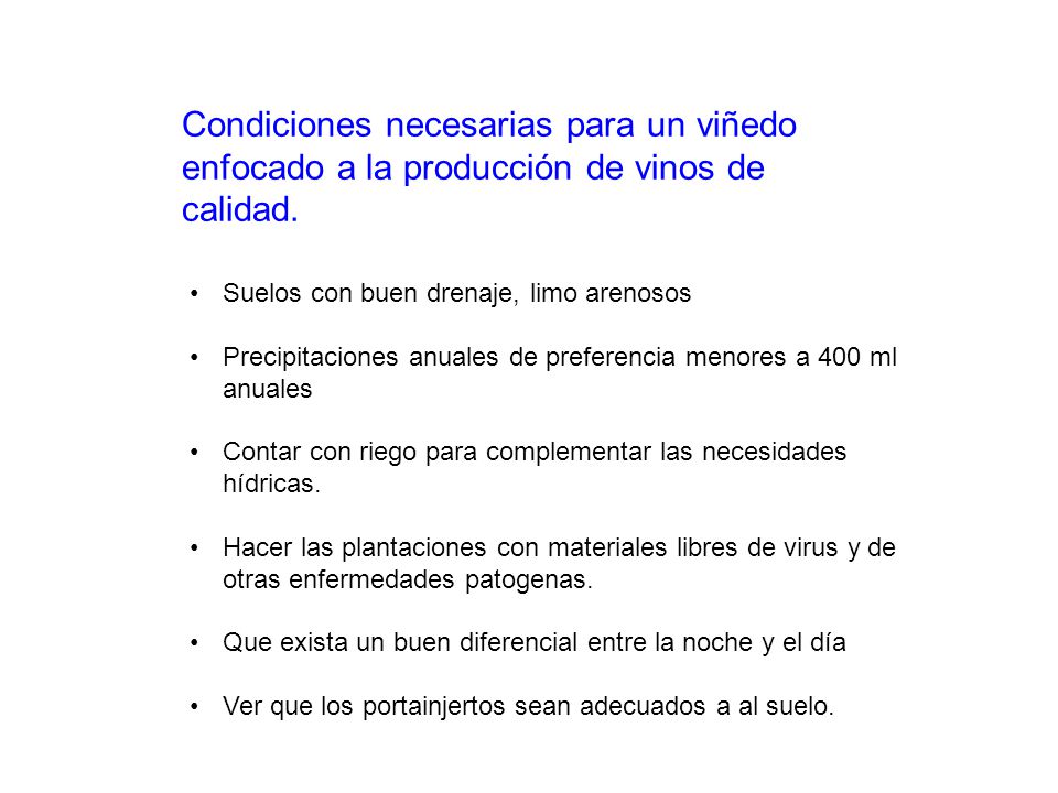 Condiciones necesarias para un viñedo enfocado a la producción de vinos de calidad.