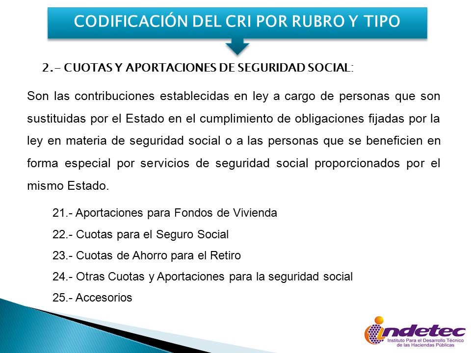 CODIFICACIÓN DEL CRI POR RUBRO Y TIPO