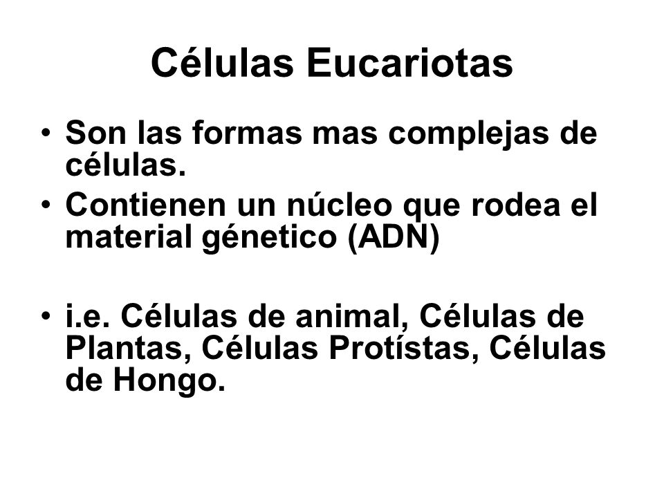 Células Eucariotas Son las formas mas complejas de células.