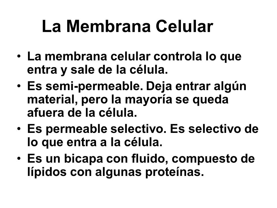 La Membrana Celular La membrana celular controla lo que entra y sale de la célula.