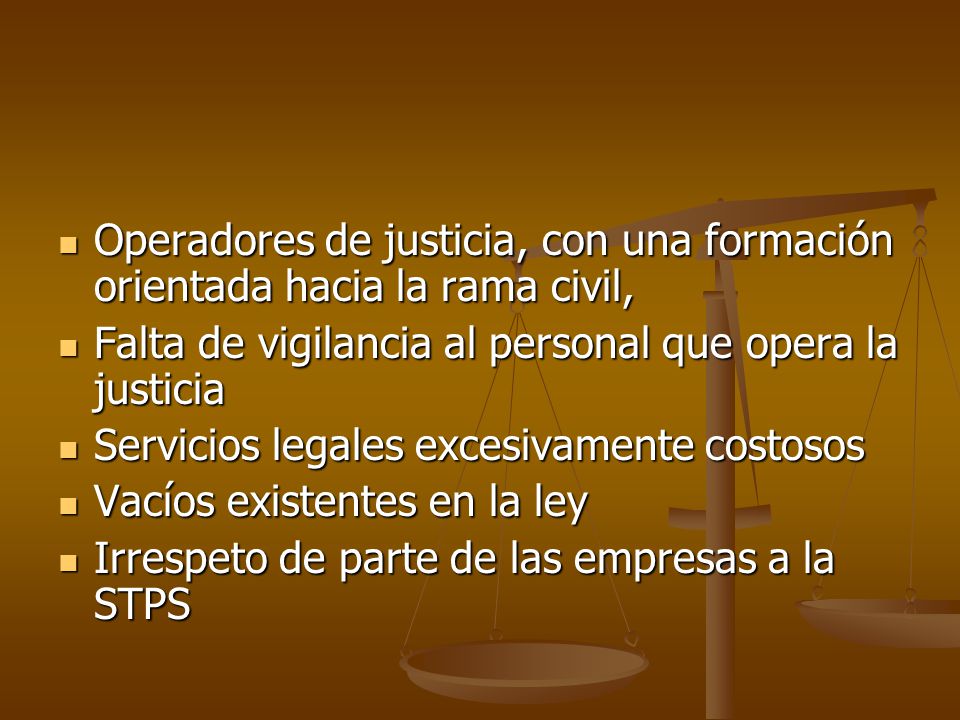 Operadores de justicia, con una formación orientada hacia la rama civil,