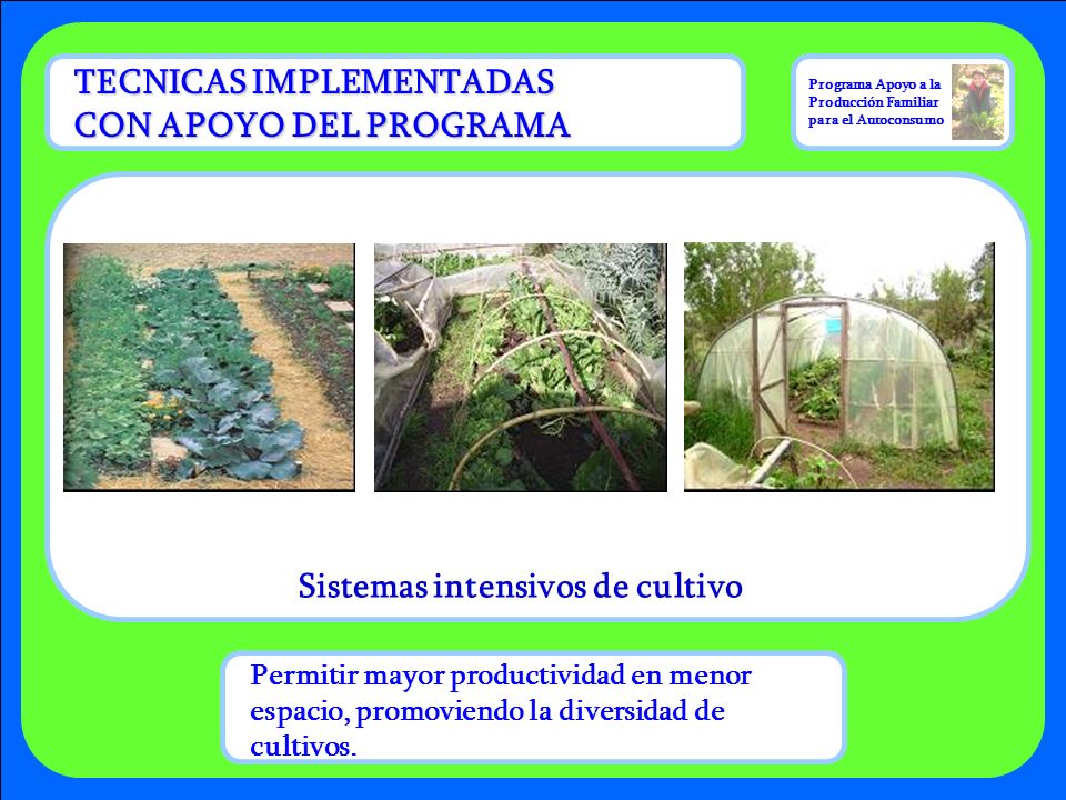 Sistemas intensivos de cultivo