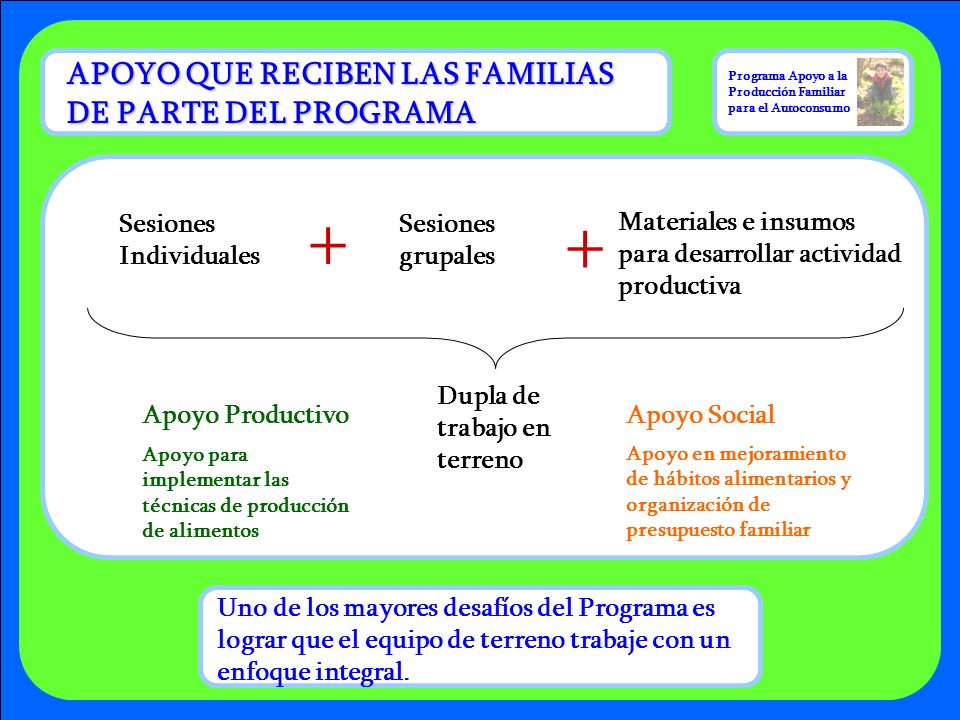 + + APOYO QUE RECIBEN LAS FAMILIAS DE PARTE DEL PROGRAMA