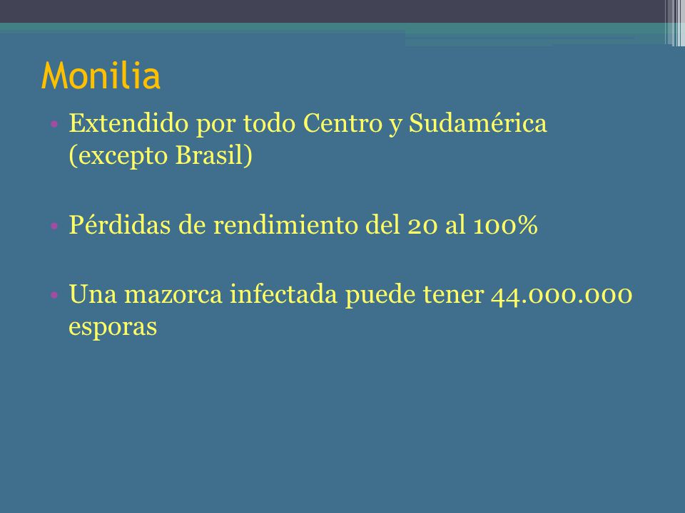 Monilia Extendido por todo Centro y Sudamérica (excepto Brasil)