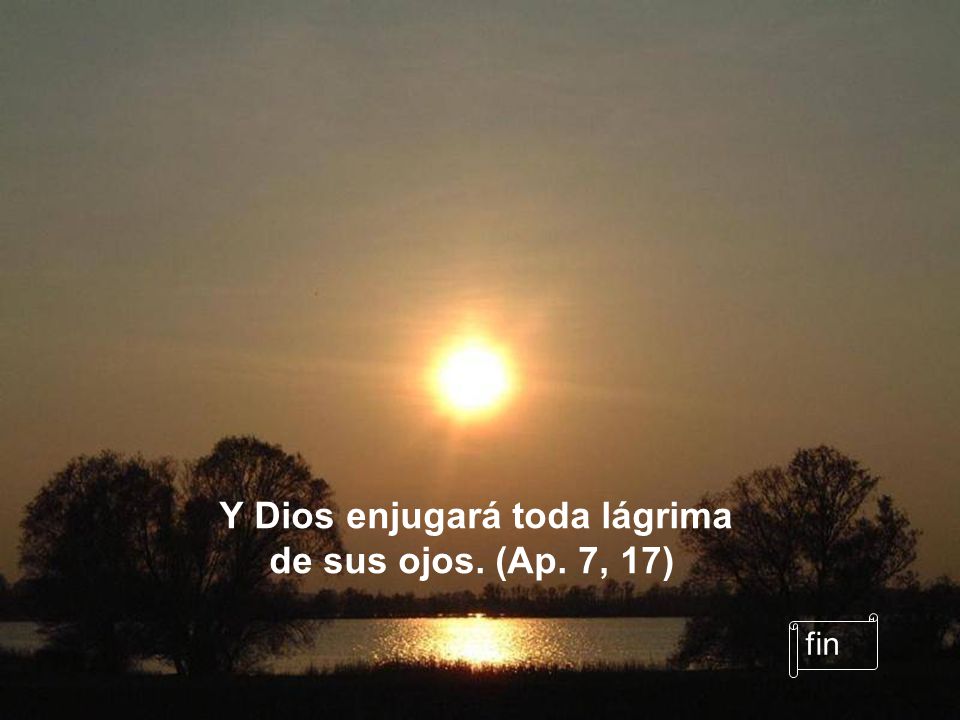 Y Dios enjugará toda lágrima de sus ojos. (Ap. 7, 17)