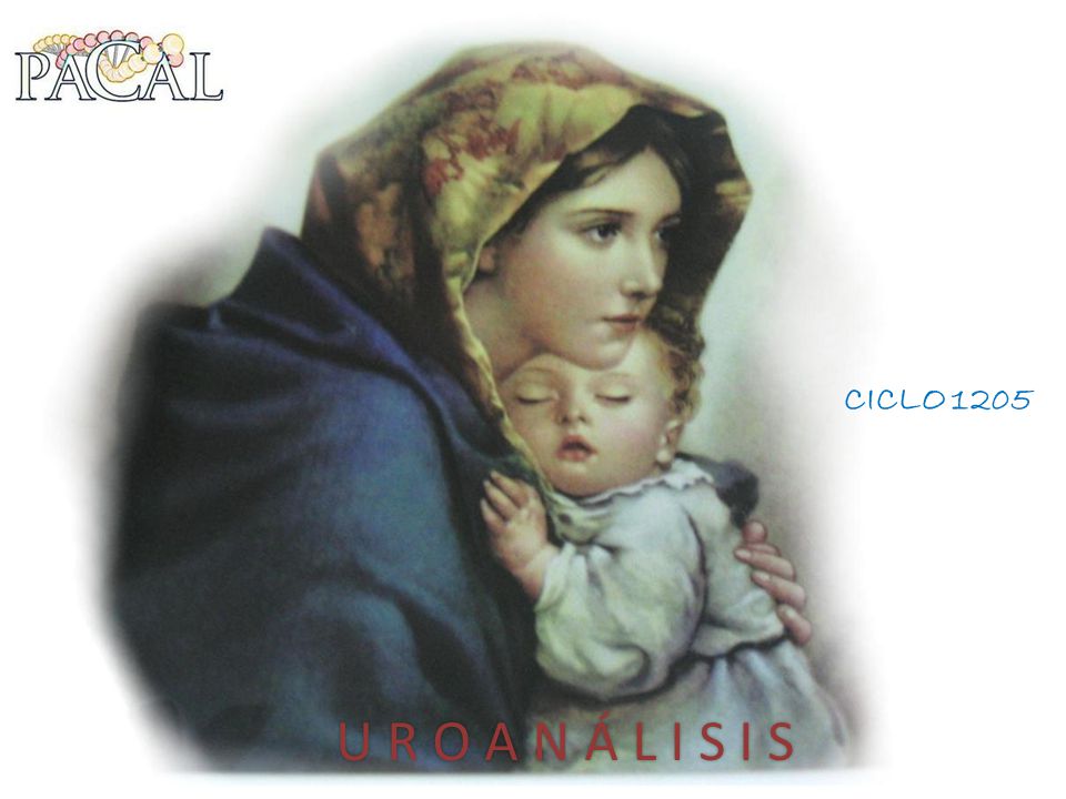 CICLO 1205 U R O A N Á L I S I S