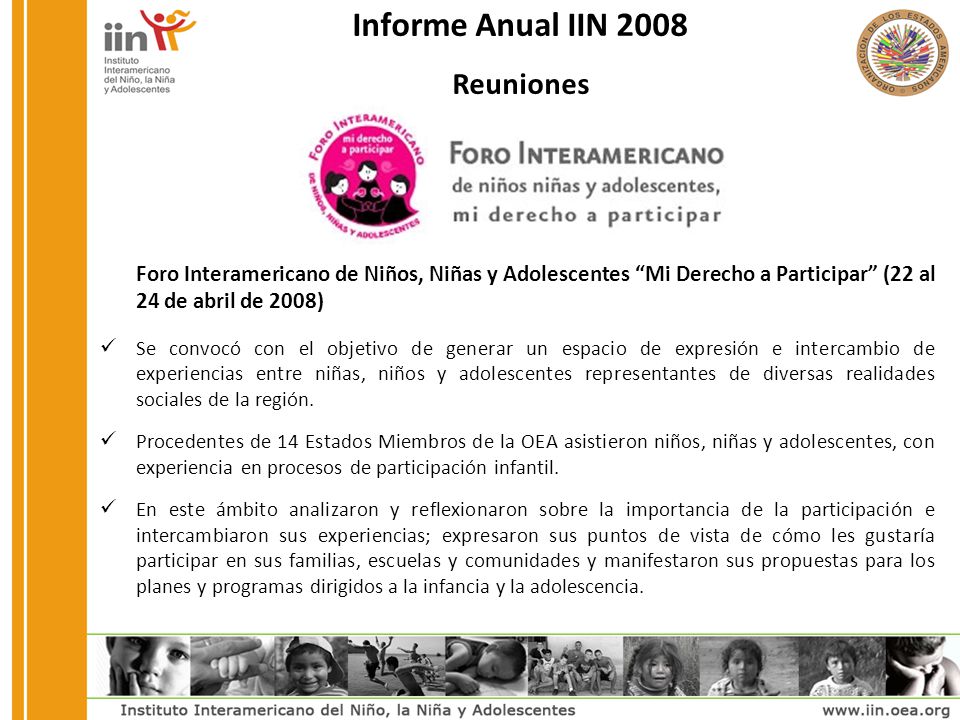 Informe Anual IIN 2008 Reuniones