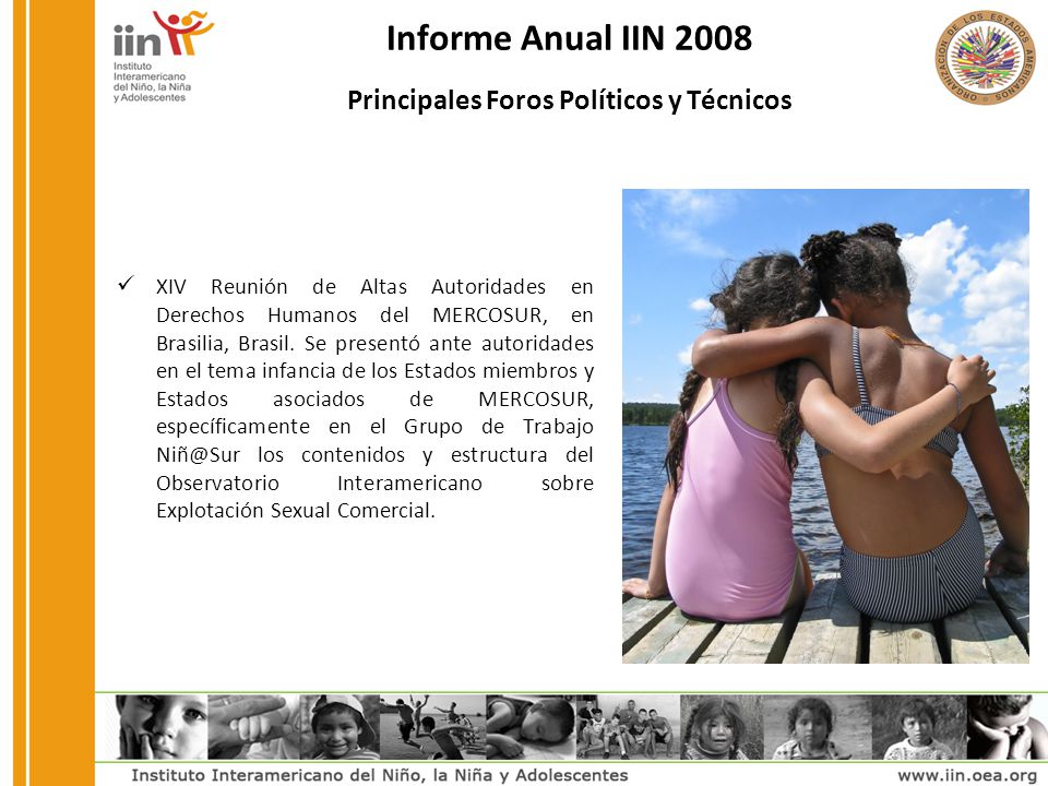 Informe Anual IIN 2008 Principales Foros Políticos y Técnicos