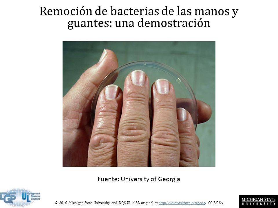 Remoción de bacterias de las manos y guantes: una demostración