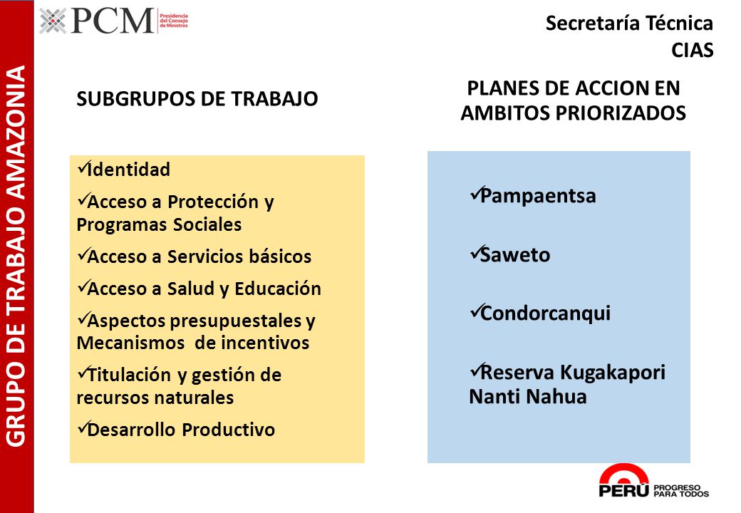 PLANES DE ACCION EN AMBITOS PRIORIZADOS GRUPO DE TRABAJO AMAZONIA