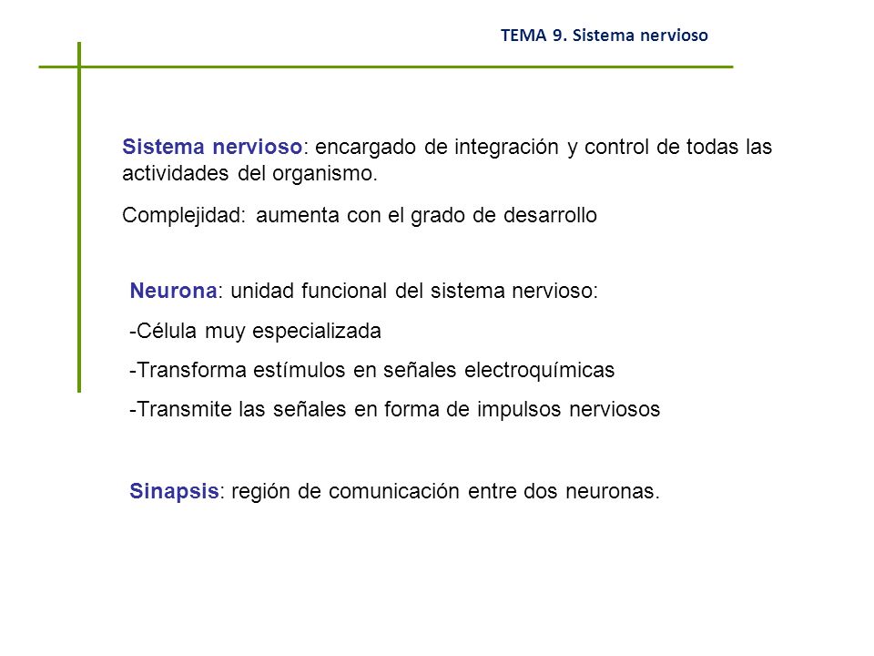 Sistema nervioso: encargado de integración y control de todas las actividades del organismo.